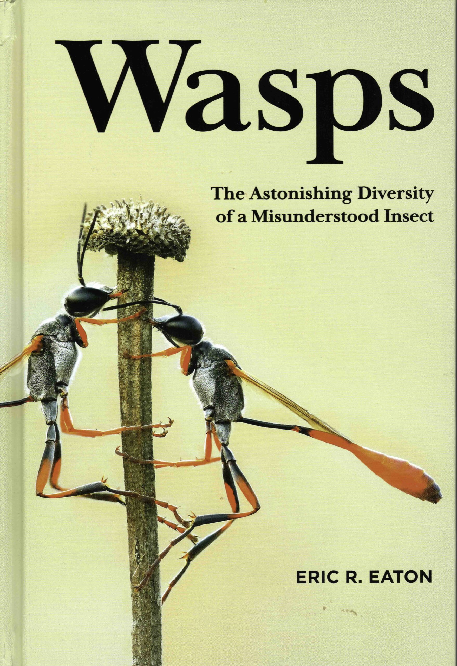 Wasp Book by Sandra Pond